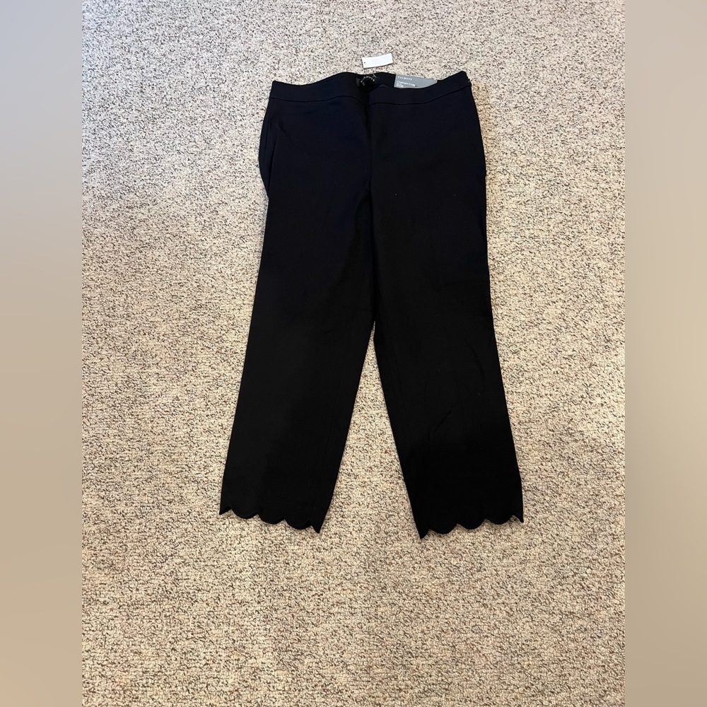 Talbots Chatham Crop Pants Size 10 NWT